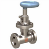 Manual Globe Valve