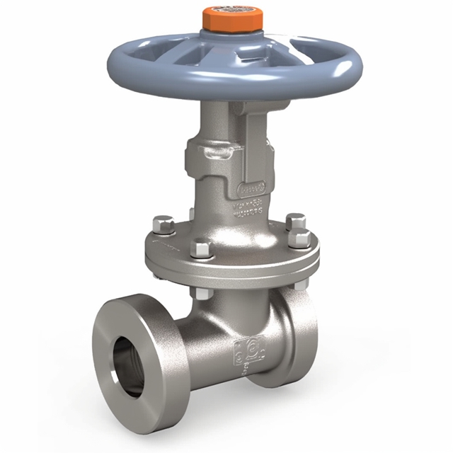 Steel globe valves