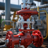 steam globe valve