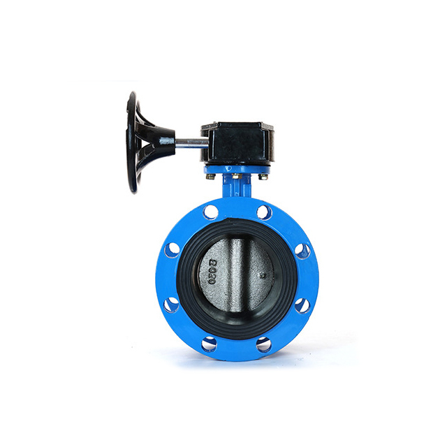 worm gear butterfly valve