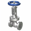 Steel globe valves