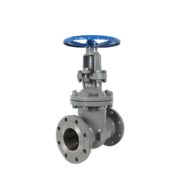 gate valve application