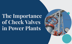 check valves for power plants (1).png