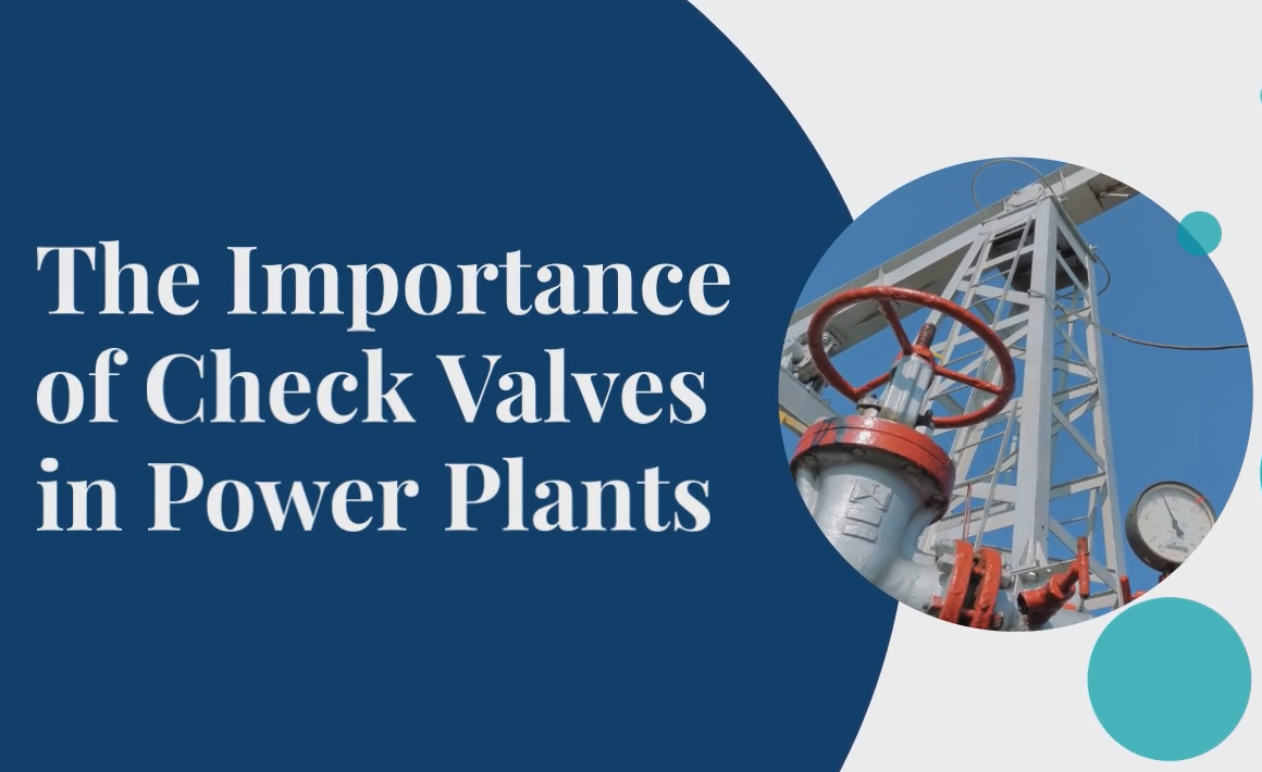 check valves for power plants (1)
