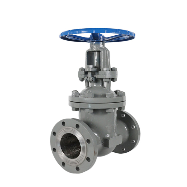 gate valve application