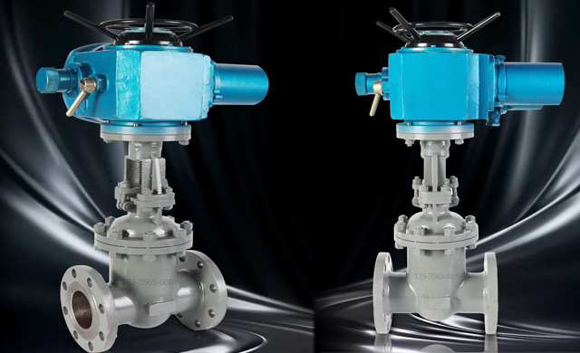 Automated gate valve (3)