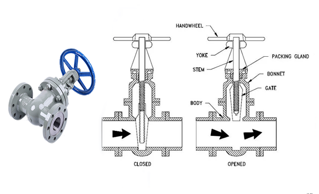 gate valve anatomy