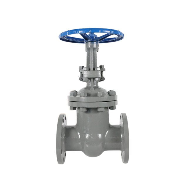 gate valve application