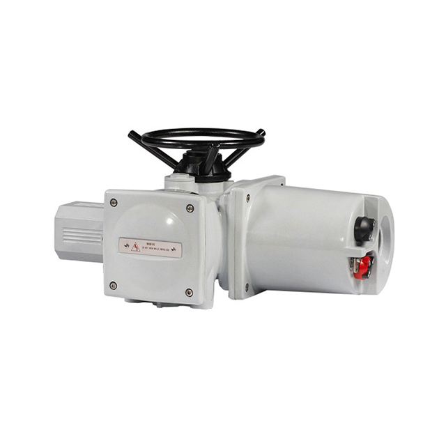 Electric Valve Actuator