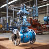 steam globe valve