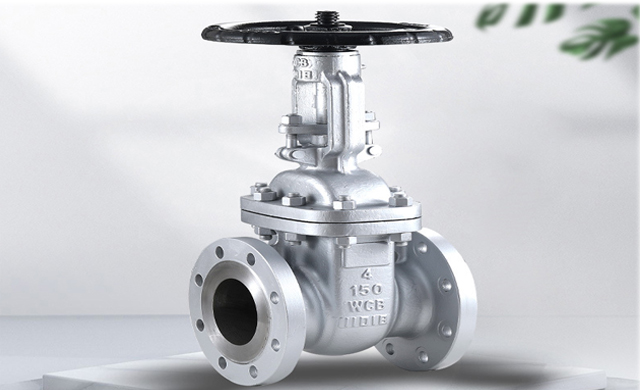 Gate valve (5)