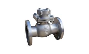 check valve function.jpg