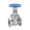 ANSI globe valve