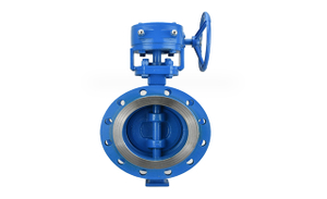 butterfly valve WCB.jpg